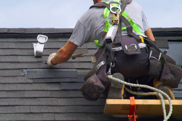 Best Local Roofing Companies  in South Gull Lake, MI