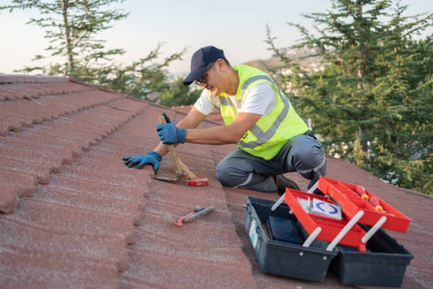 Best Storm Damage Roof Repair  in South Gull Lake, MI