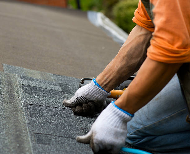 Best Emergency Roof Repair  in South Gull Lake, MI