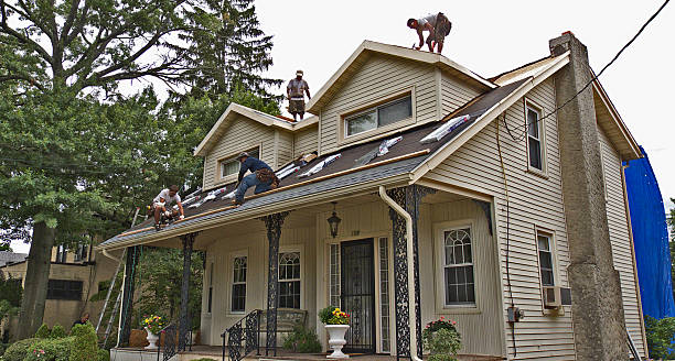 Best Roof Repair Services  in South Gull Lake, MI