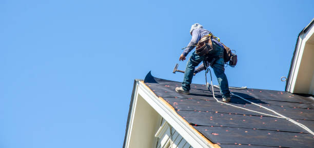 Best Flat Roof Repair Services  in South Gull Lake, MI
